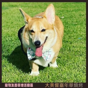 大美督嘉年華燒烤 pets-1